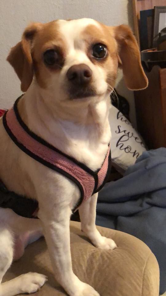 Molly Mae - Tina Miller.jpg